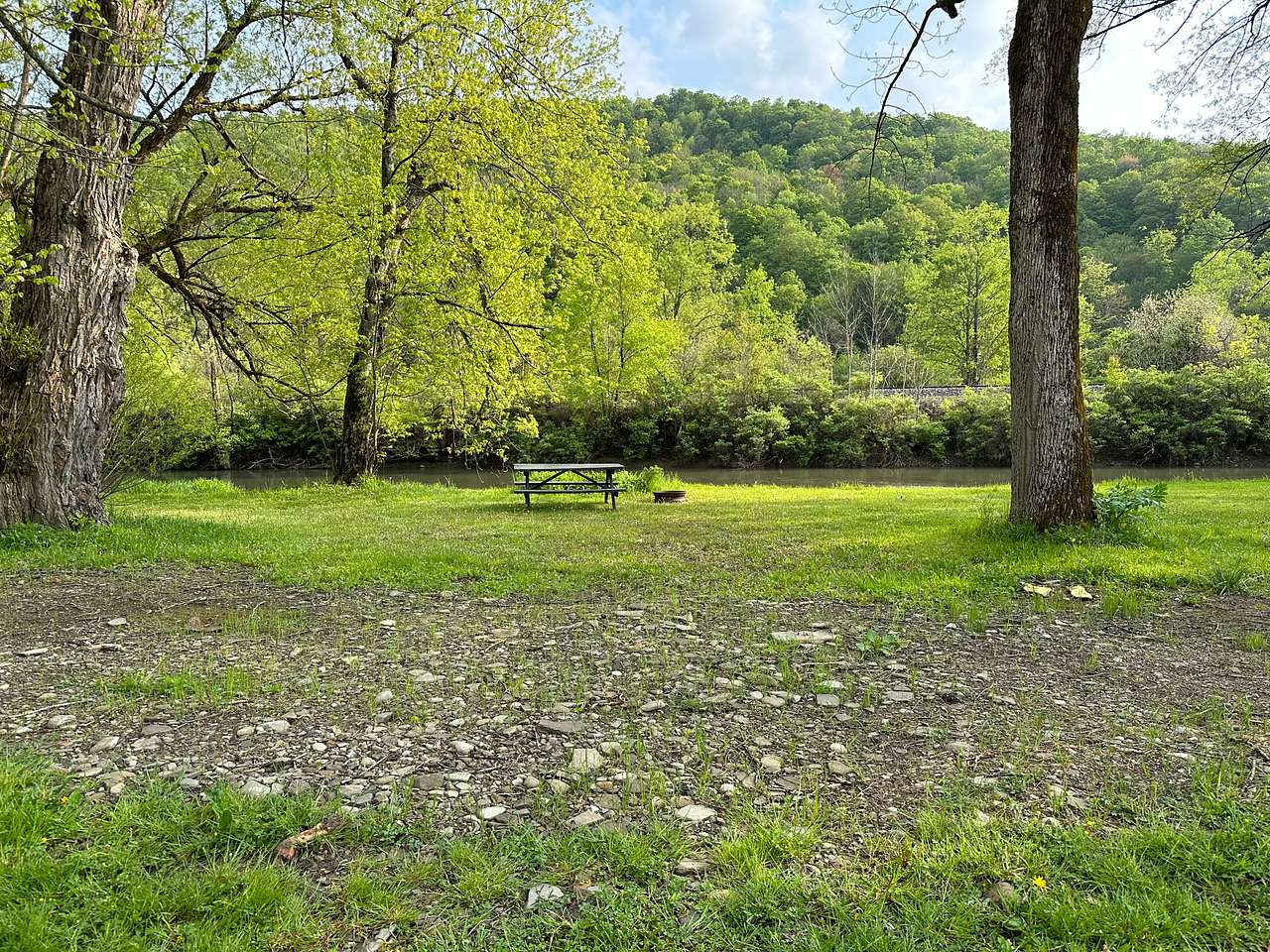 Picture of the site