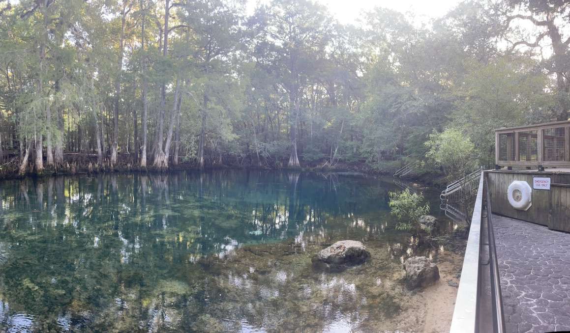 Picture of the site