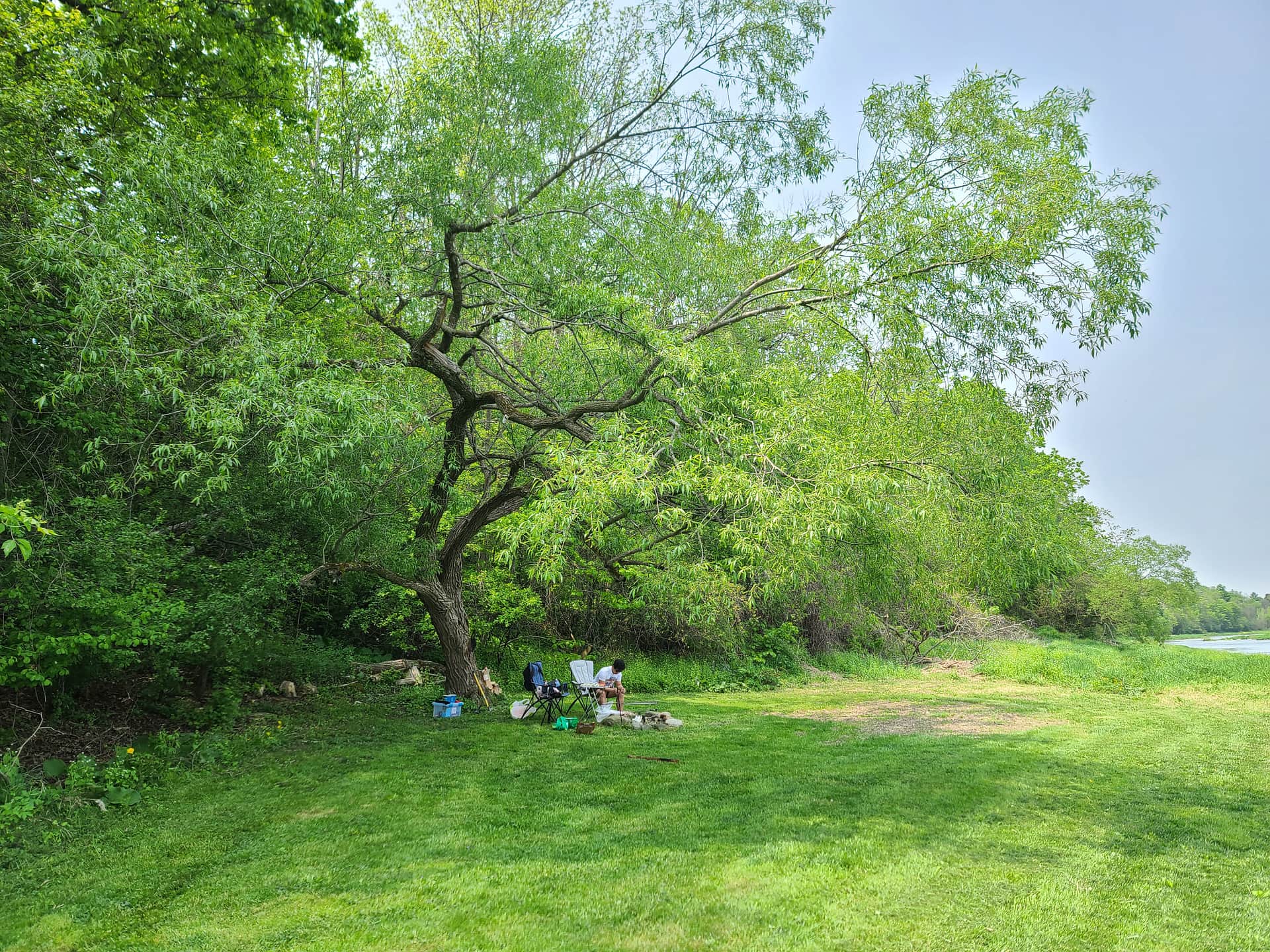 Picture of the site