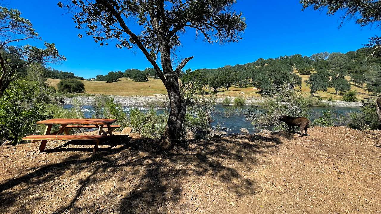 Picture of the site