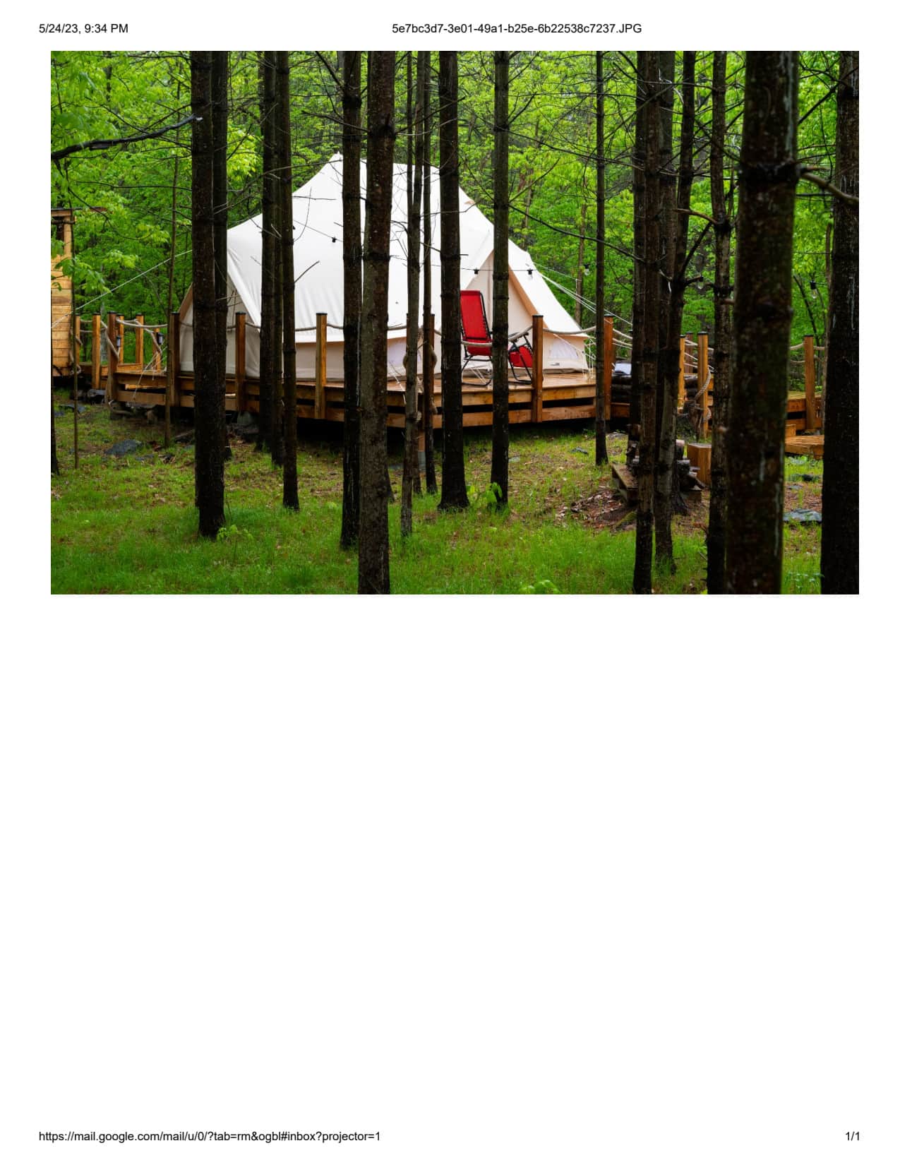 Picture of the site