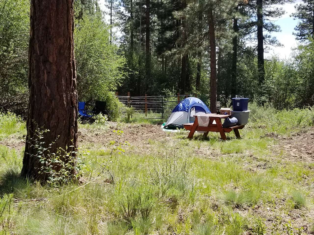 Picture of the site