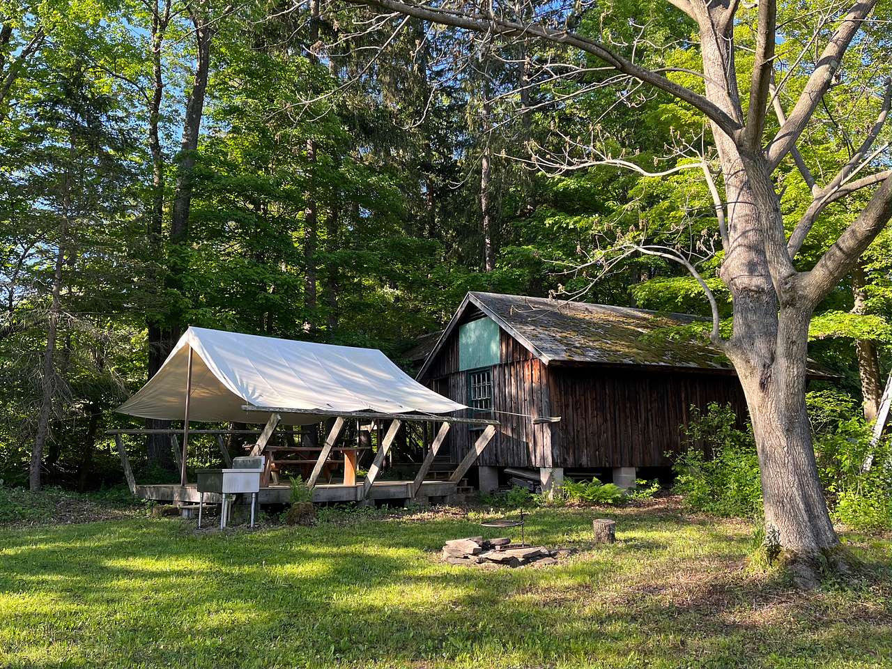 Picture of the site