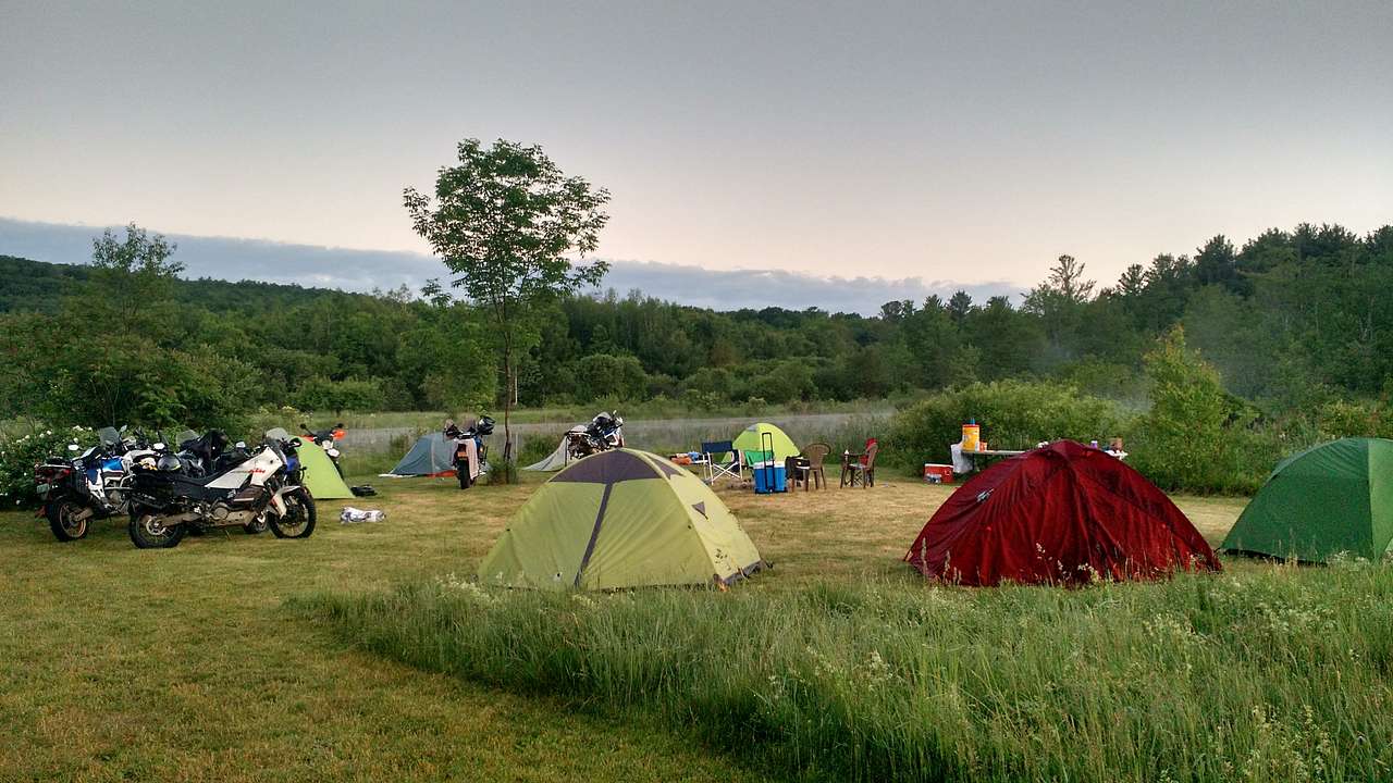 Picture of the site