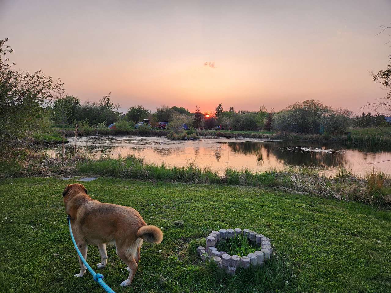 Picture of the site