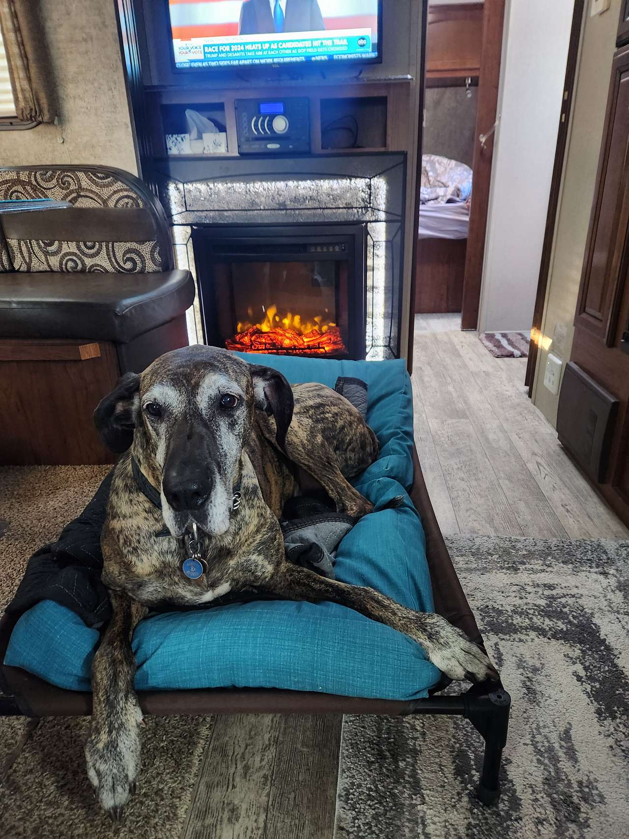 Dog friendly!