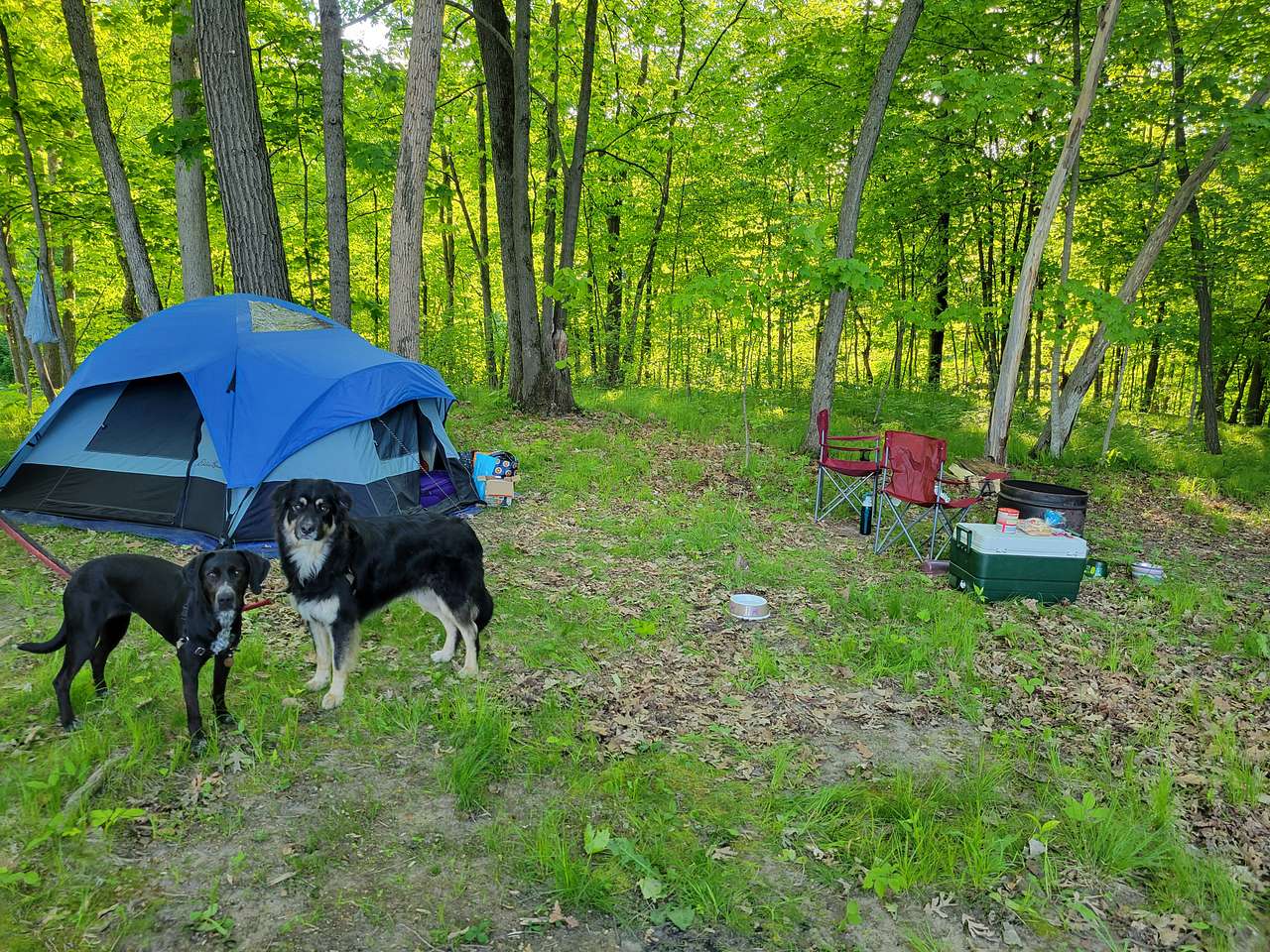 Picture of the site