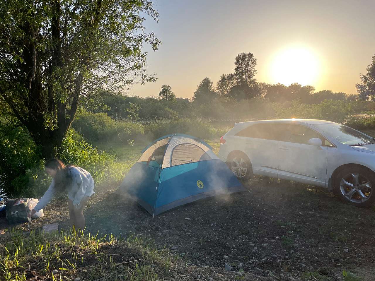Picture of the site