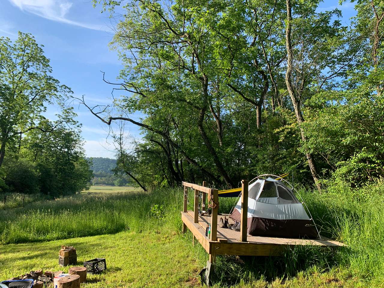 Picture of the site