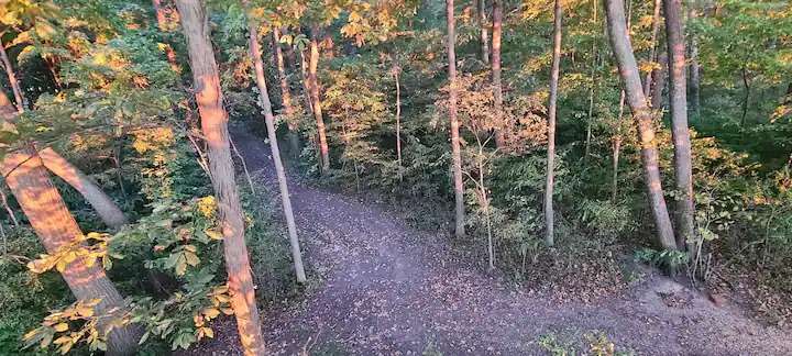Picture of the site