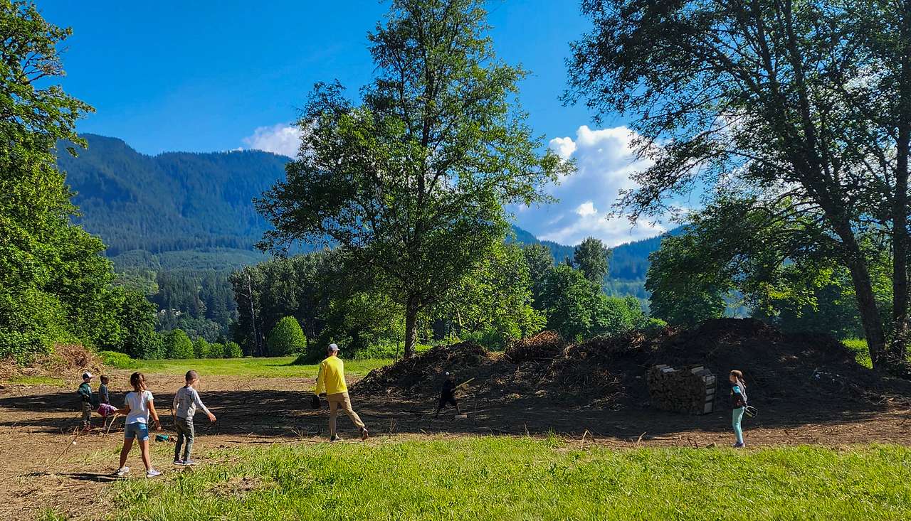 Picture of the site