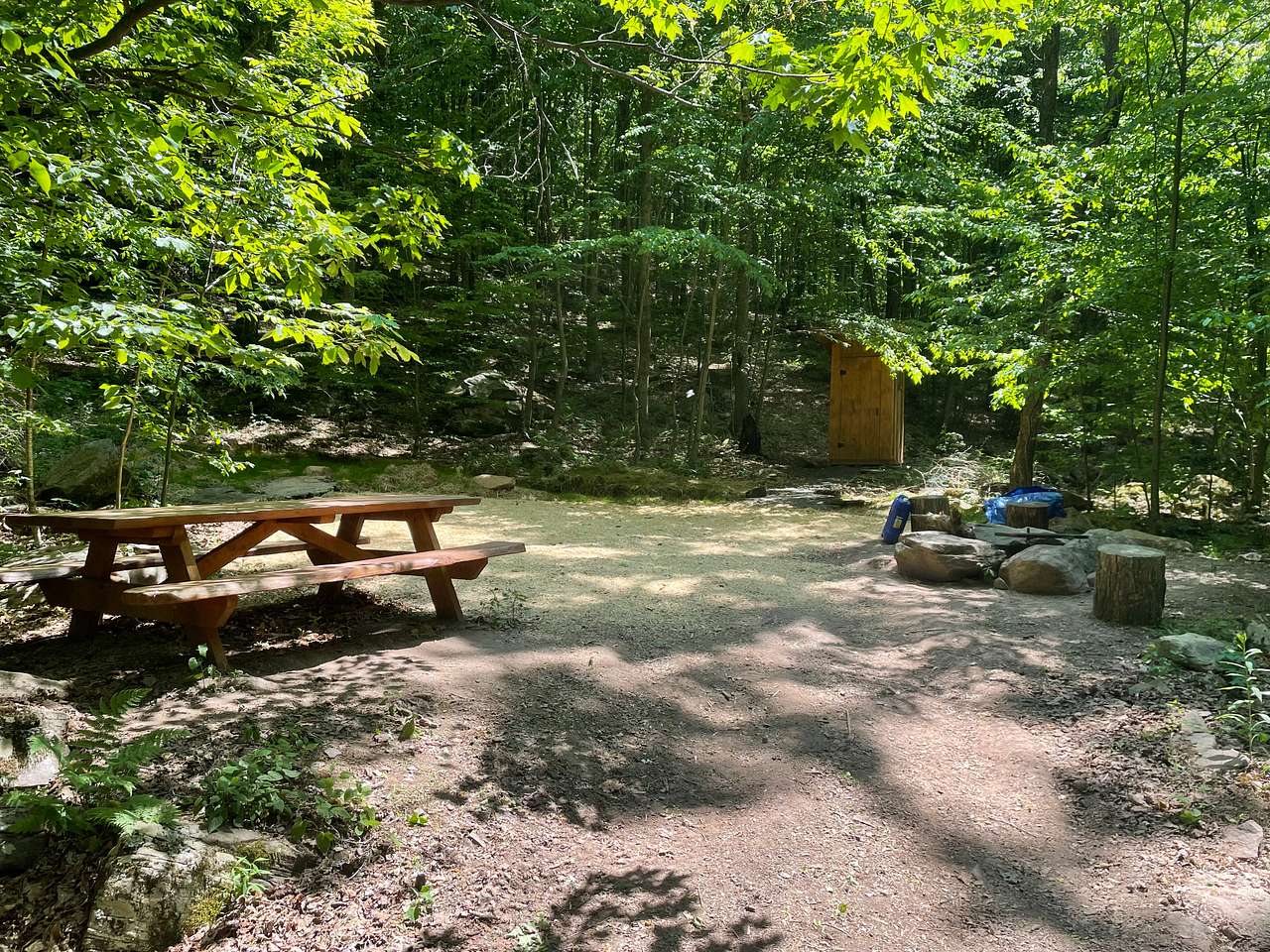 Picture of the site