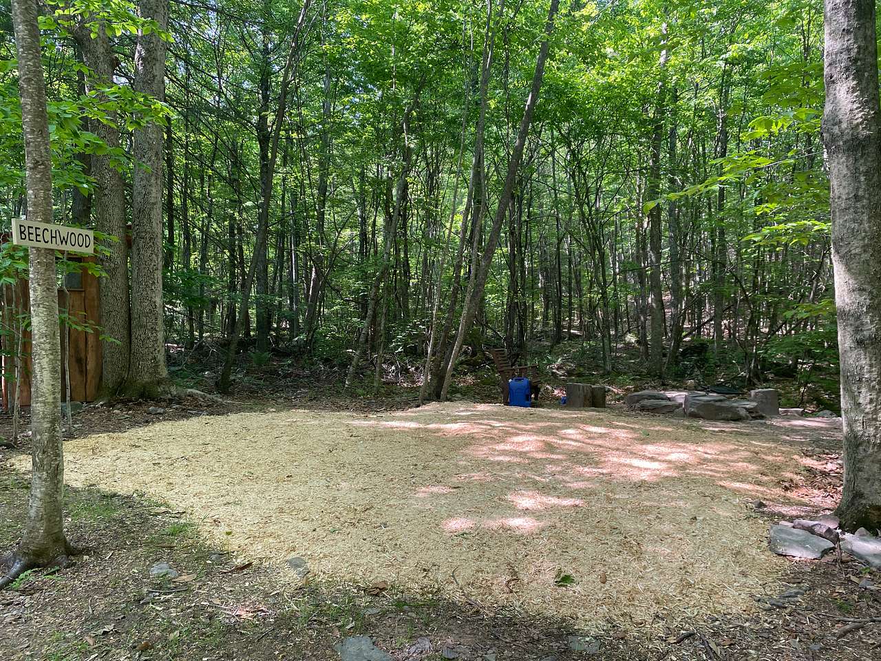 Picture of the site