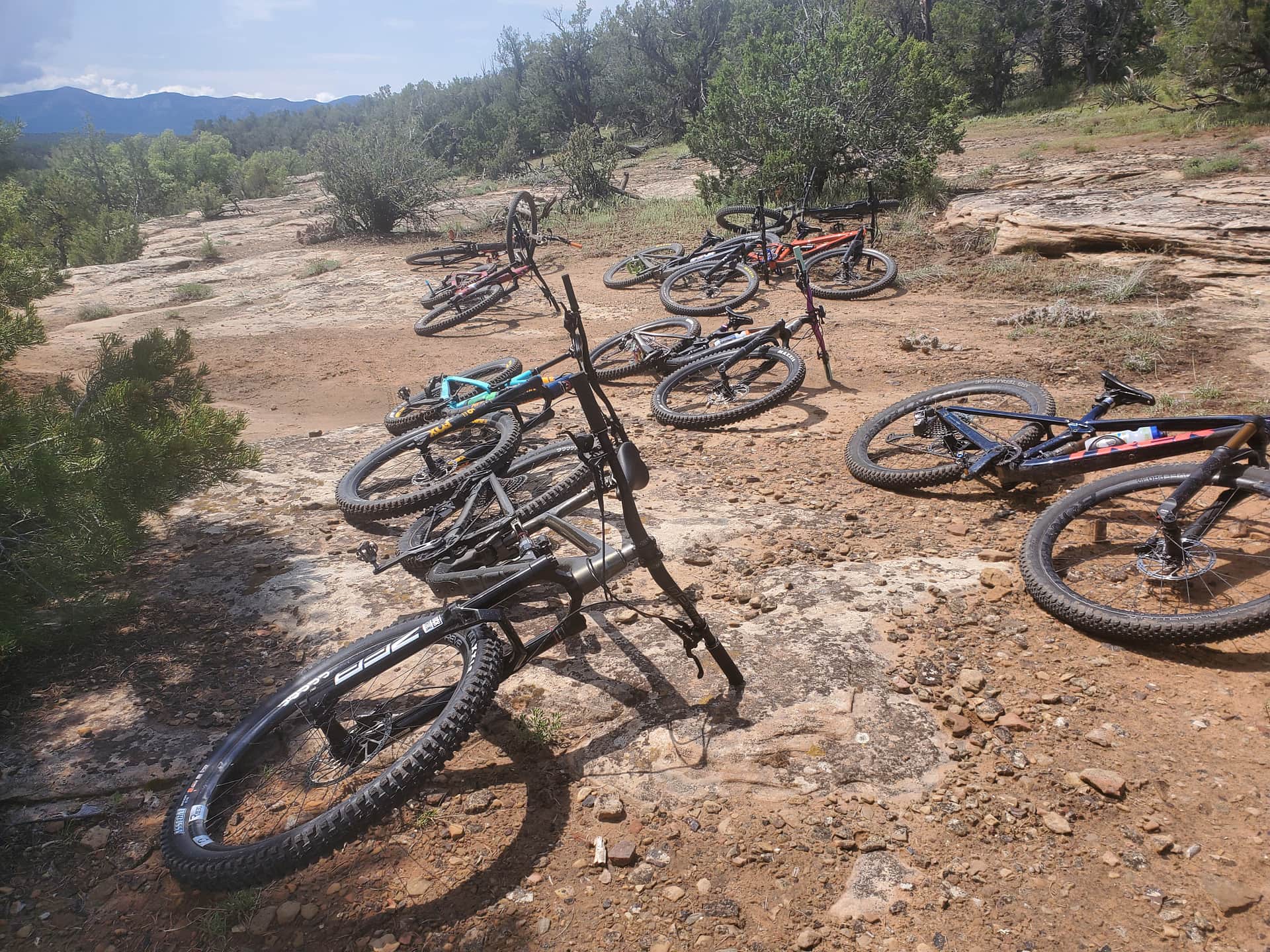 Picture of the site