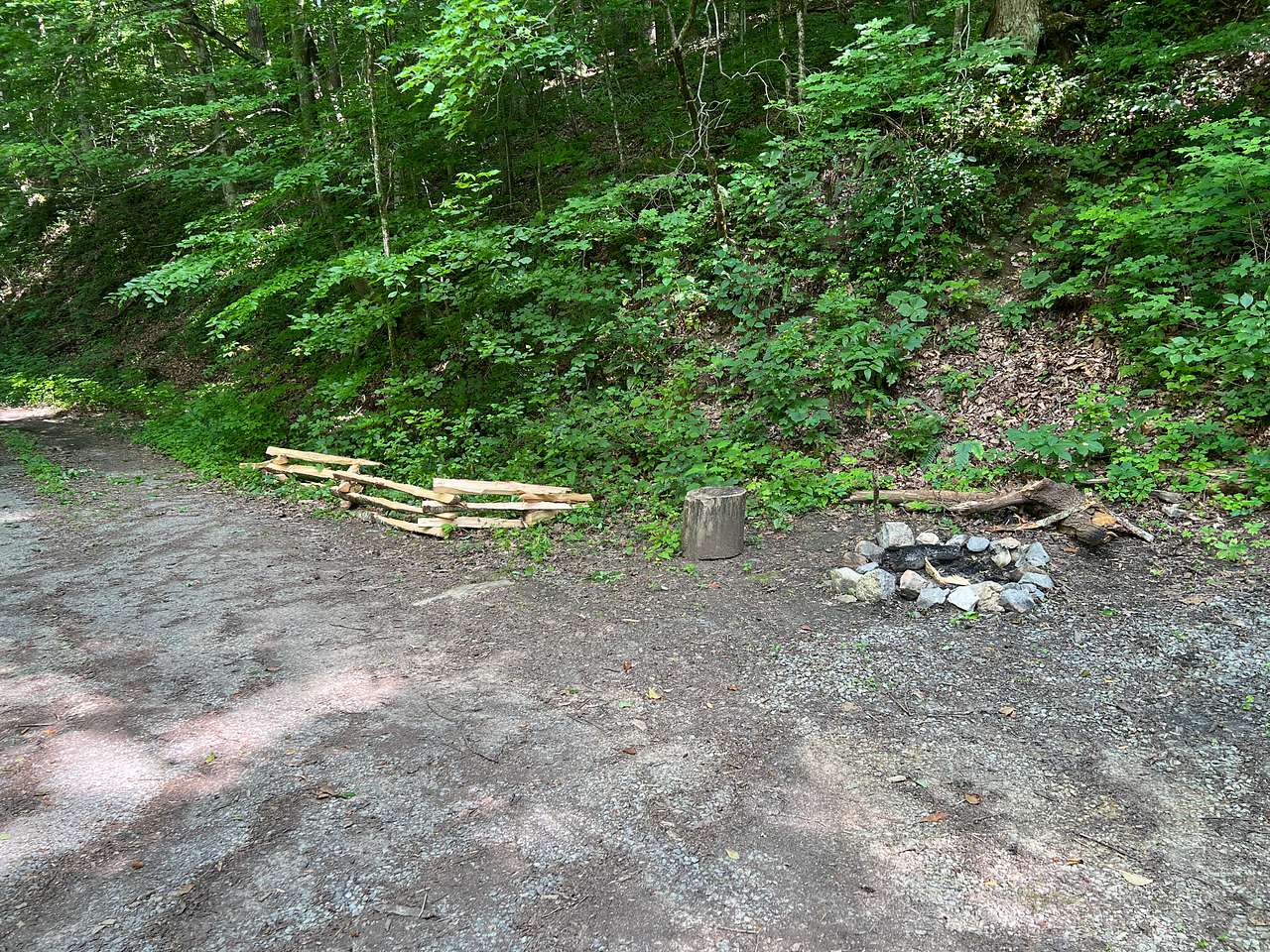 Picture of the site