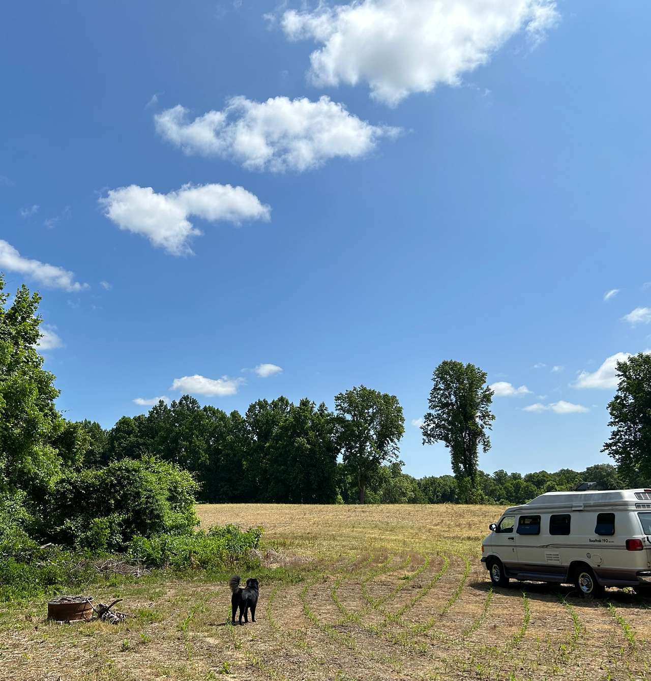 Picture of the site