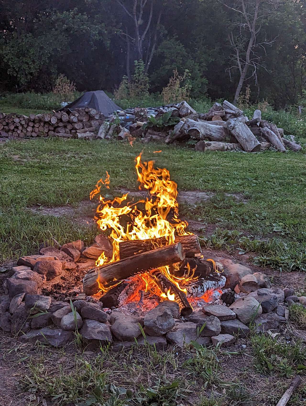 Picture of the site