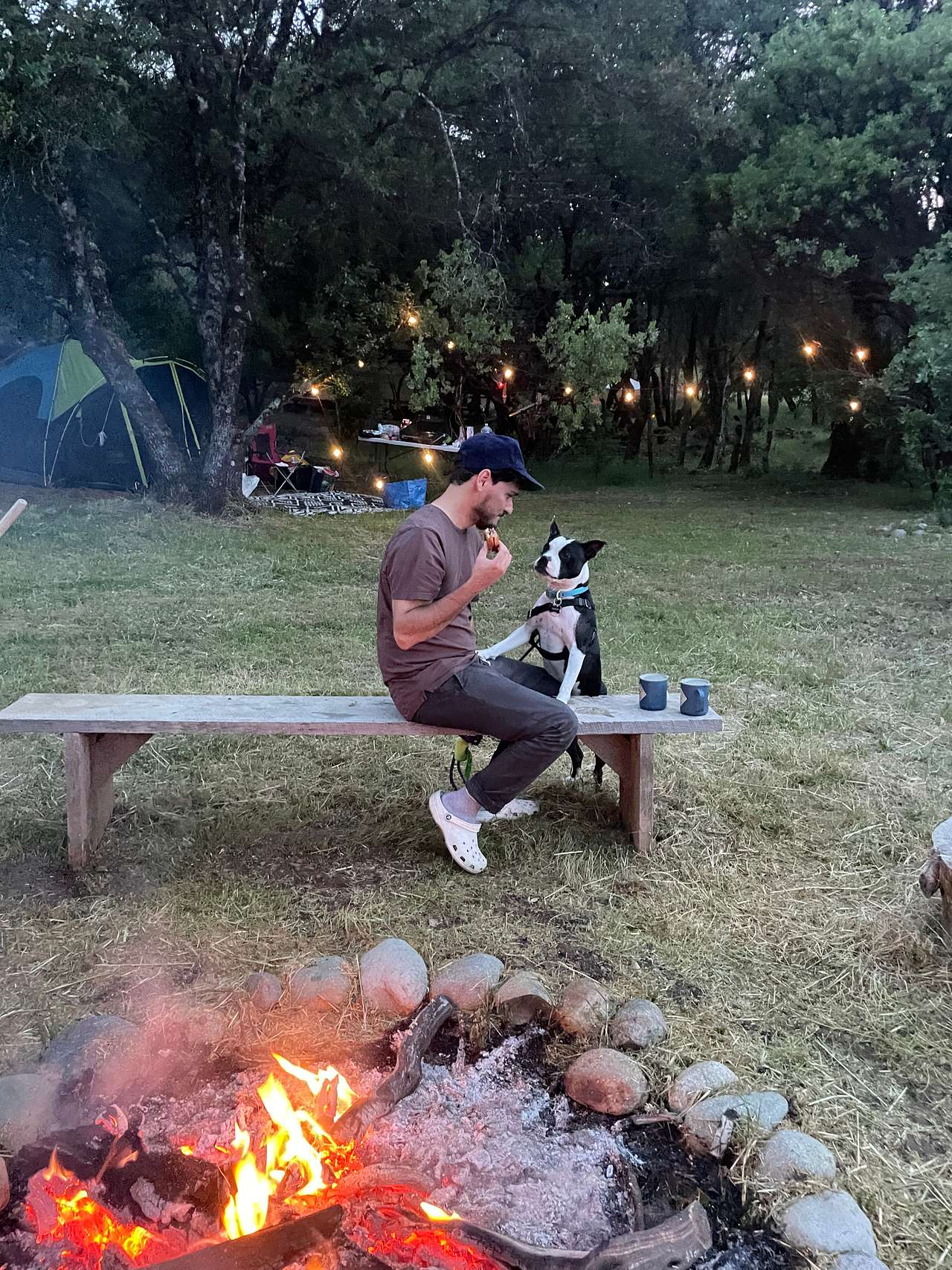 Picture of the site