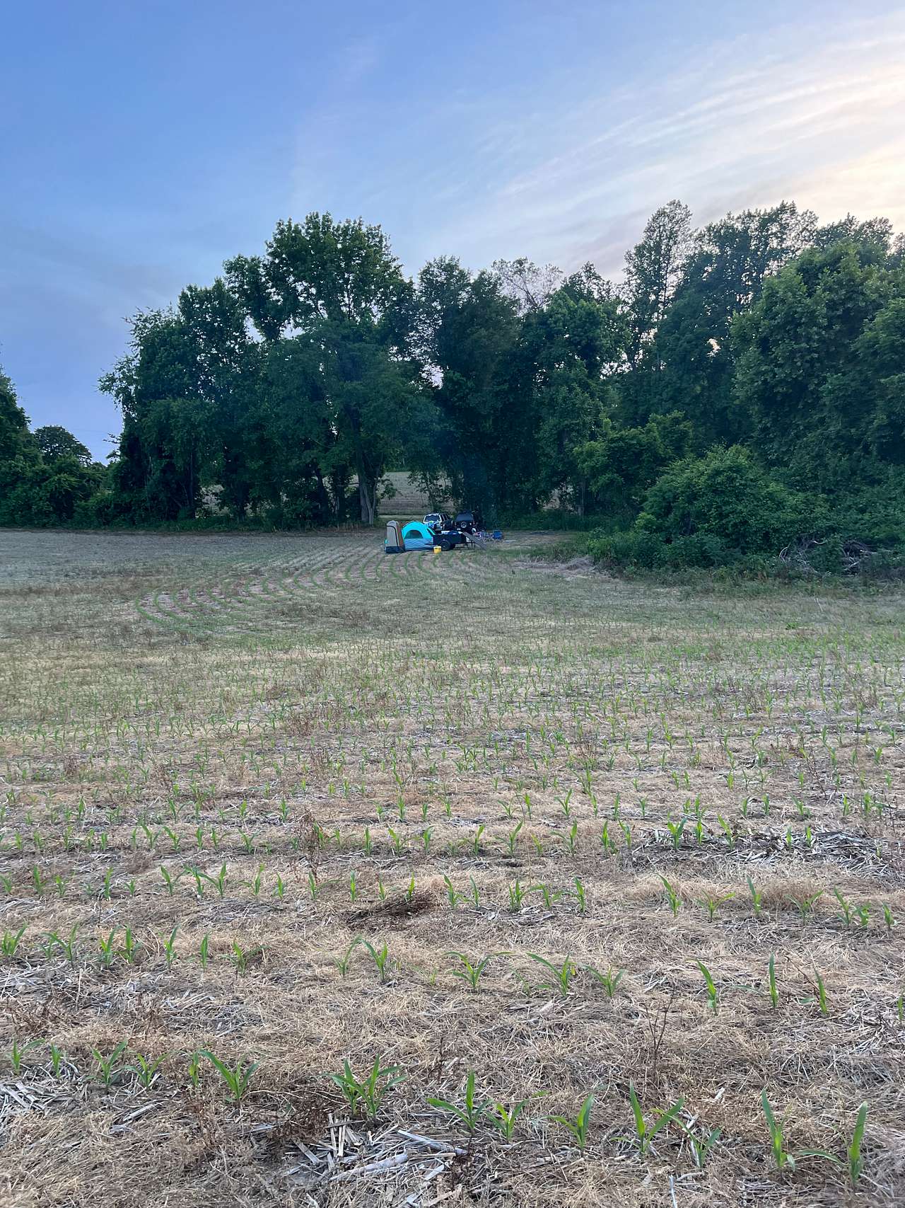 Picture of the site
