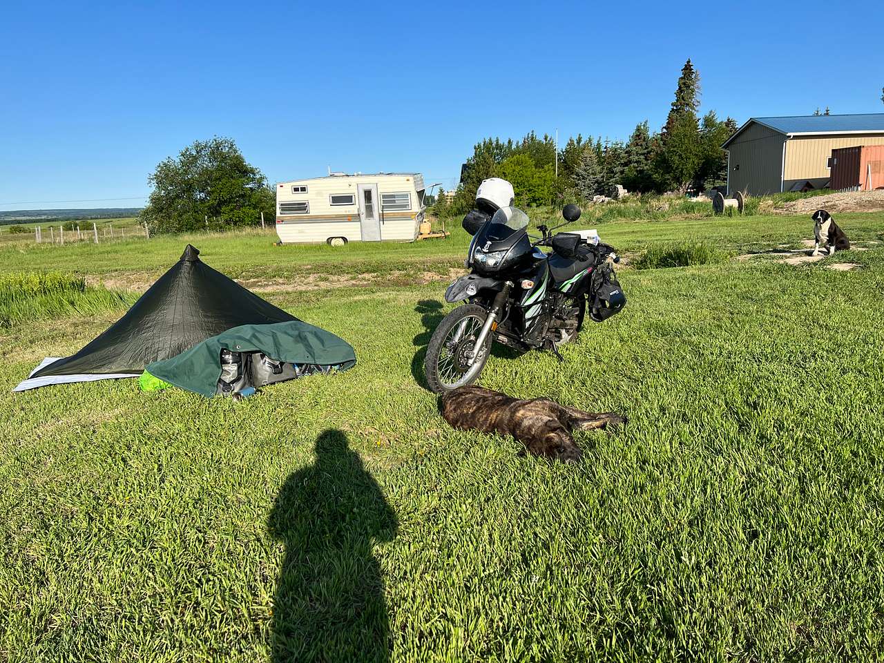 Picture of the site
