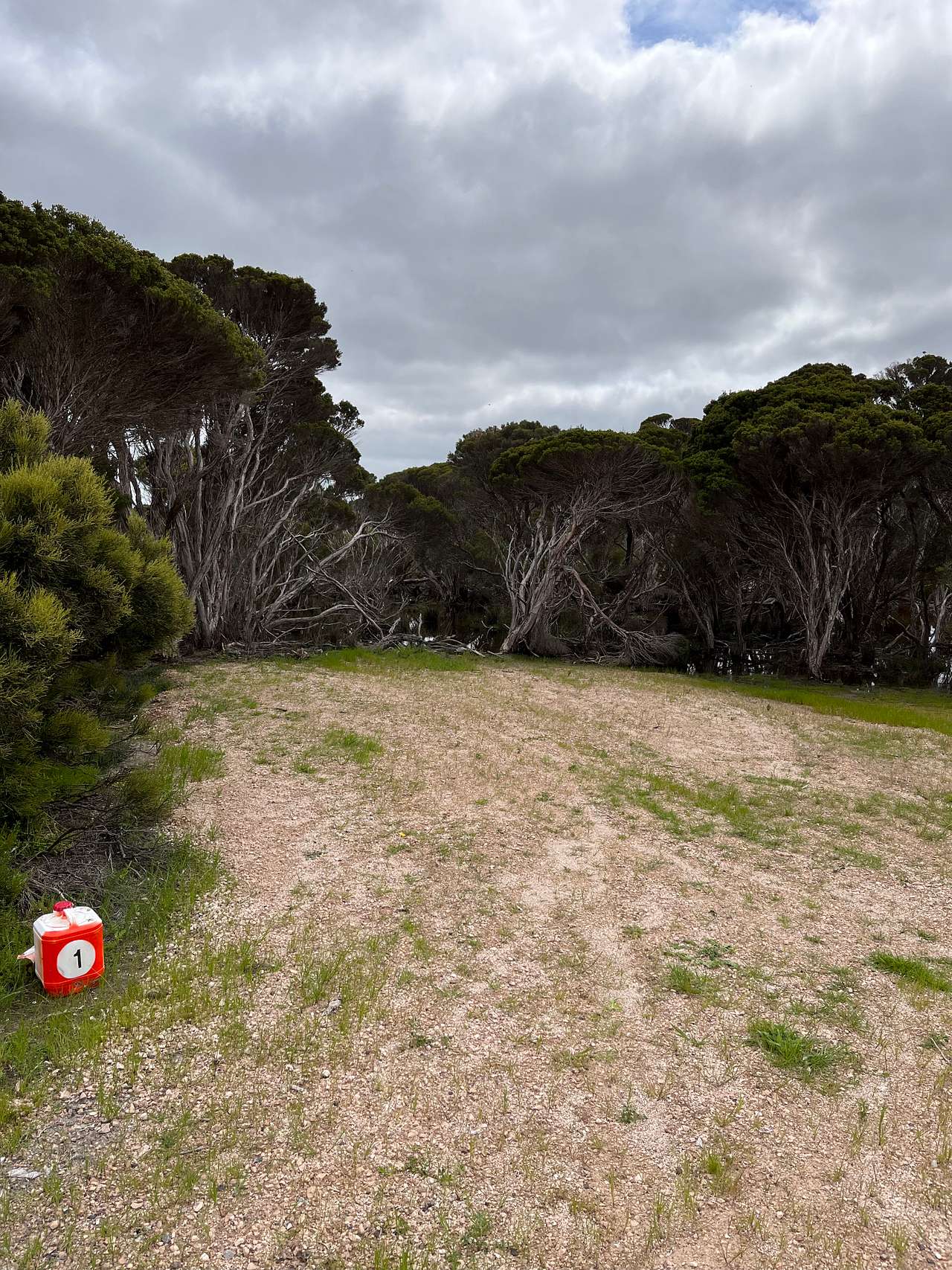 Picture of the site