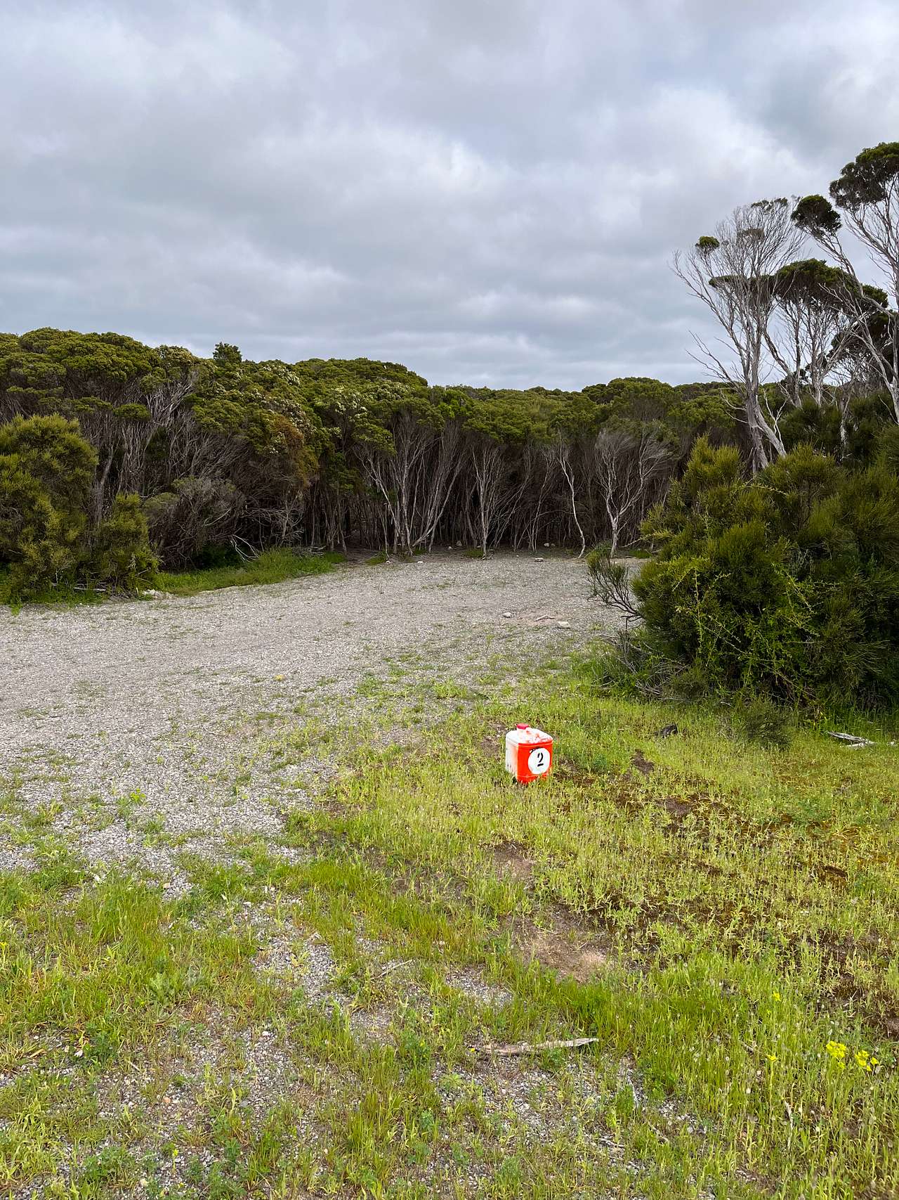 Picture of the site