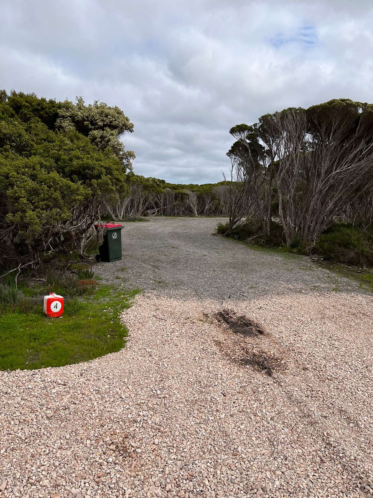 Picture of the site
