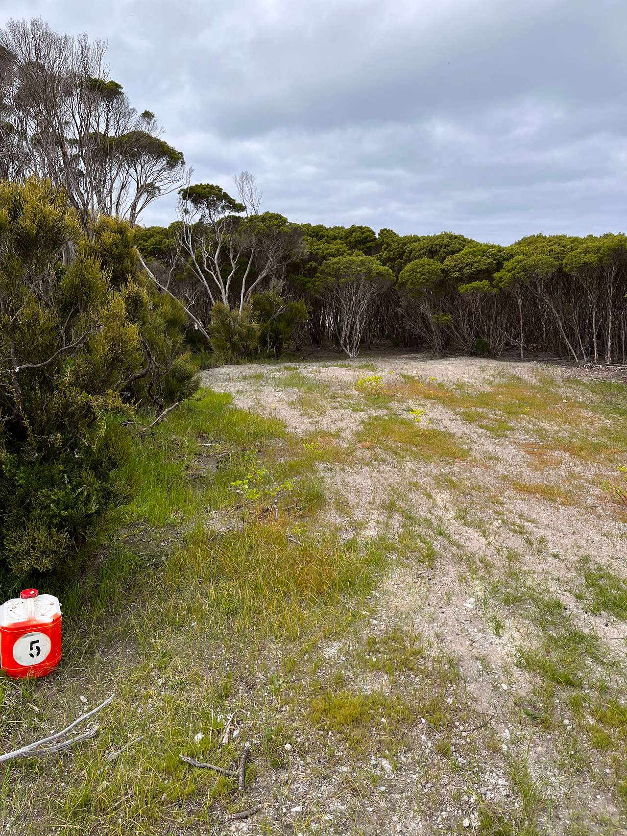 Picture of the site