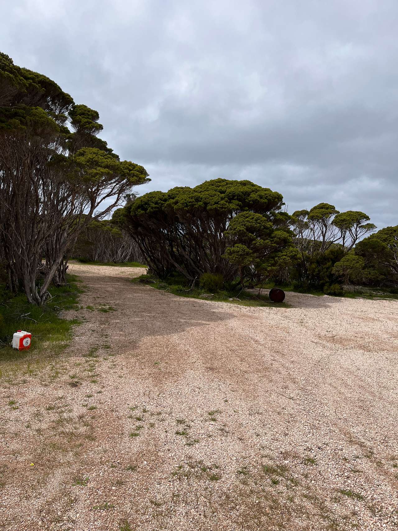 Picture of the site