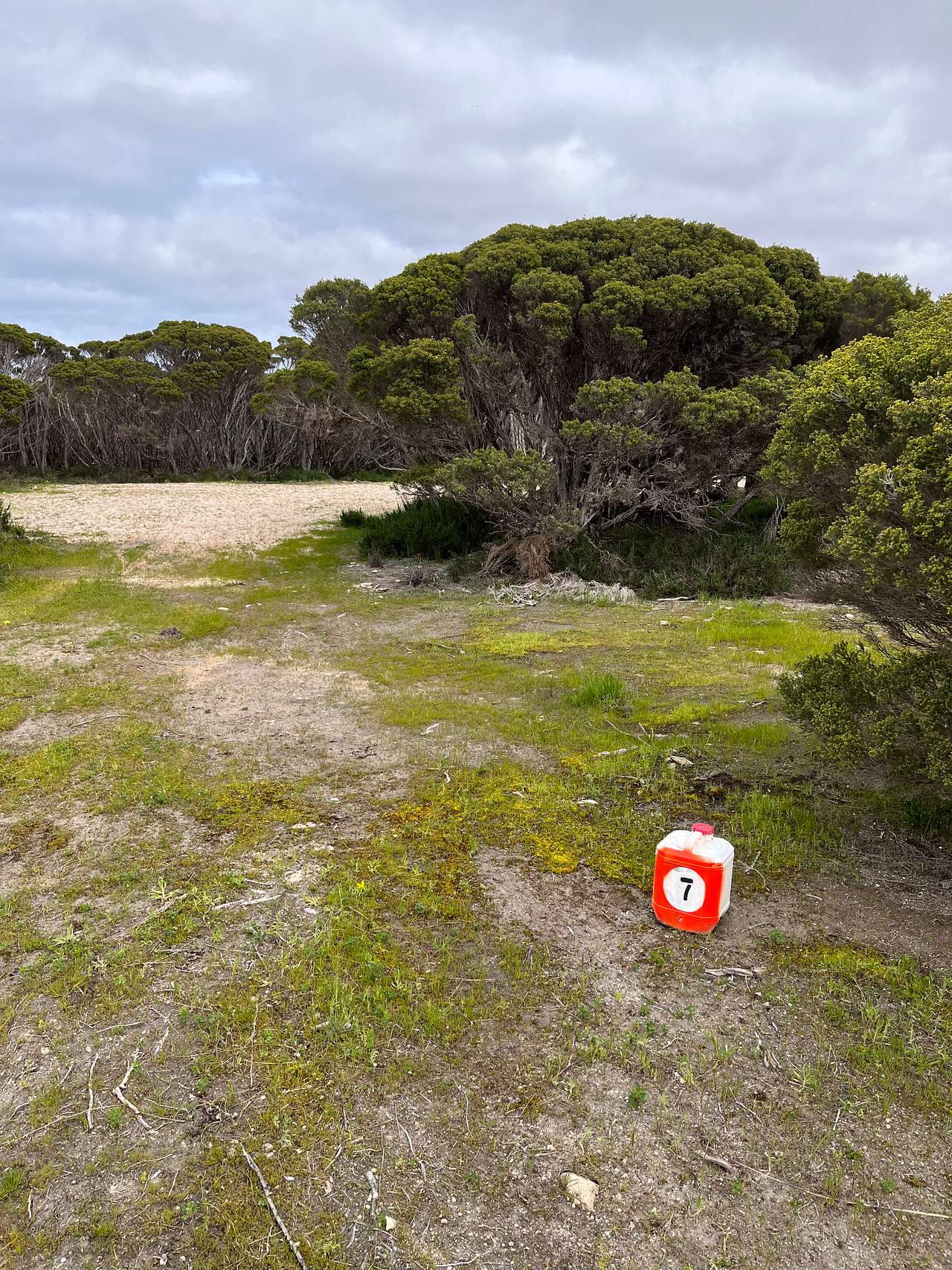 Picture of the site