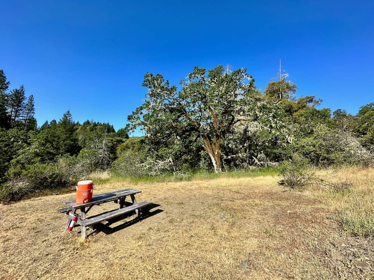 Picture of the site