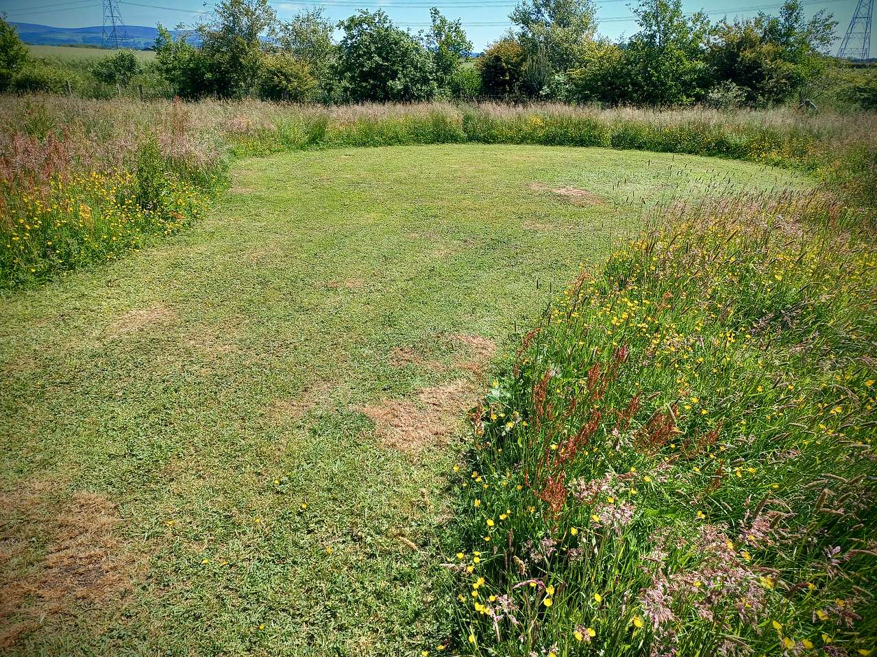 Picture of the site