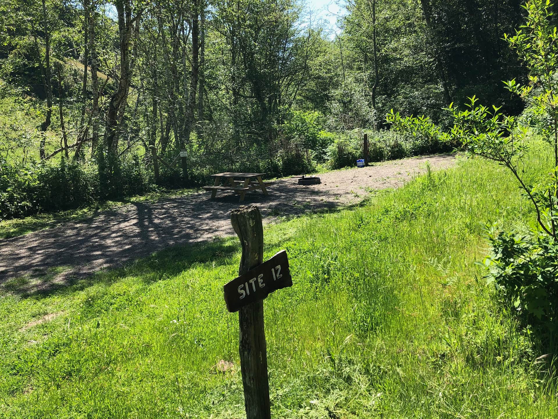 Picture of the site