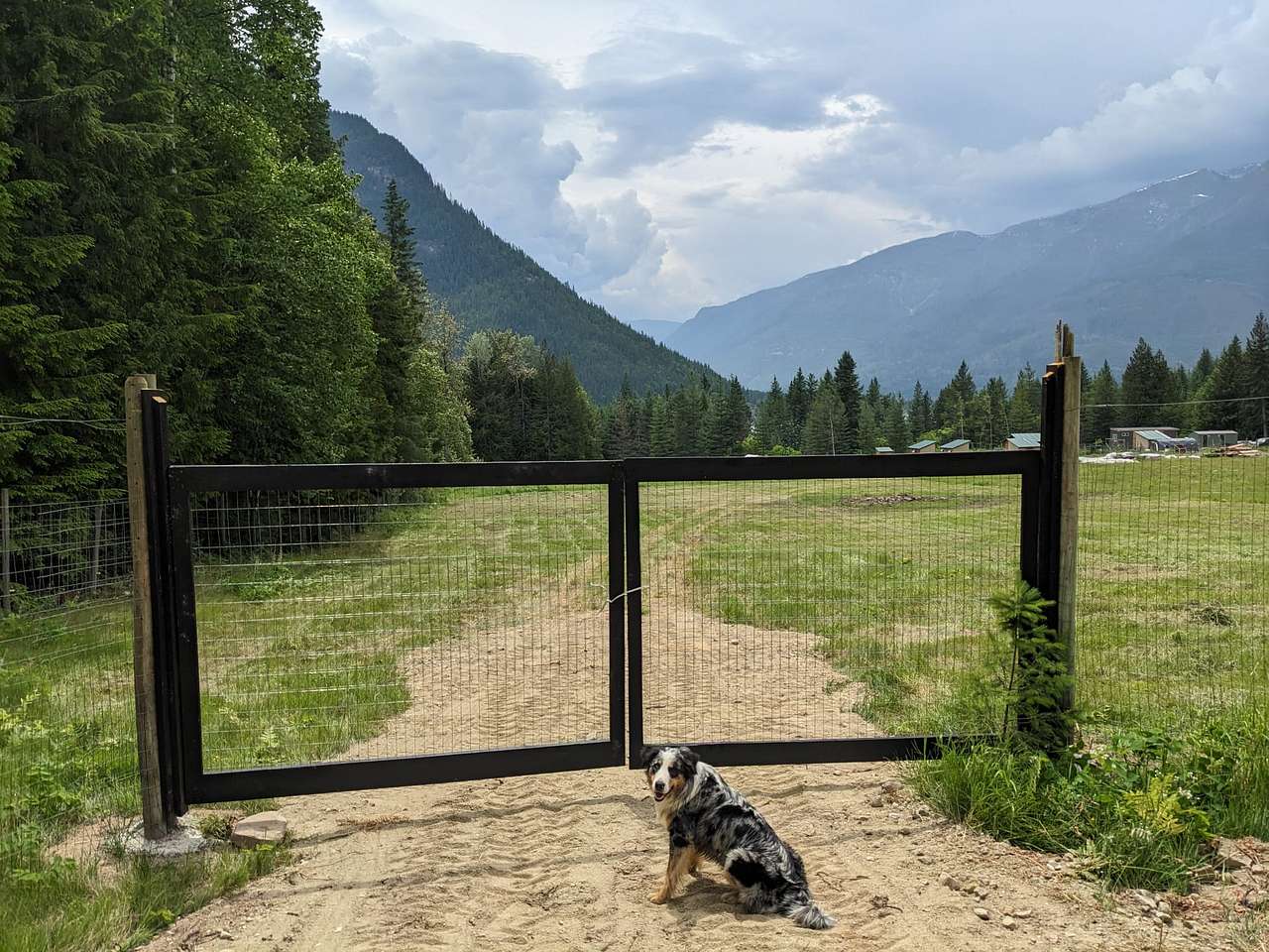 Picture of the site