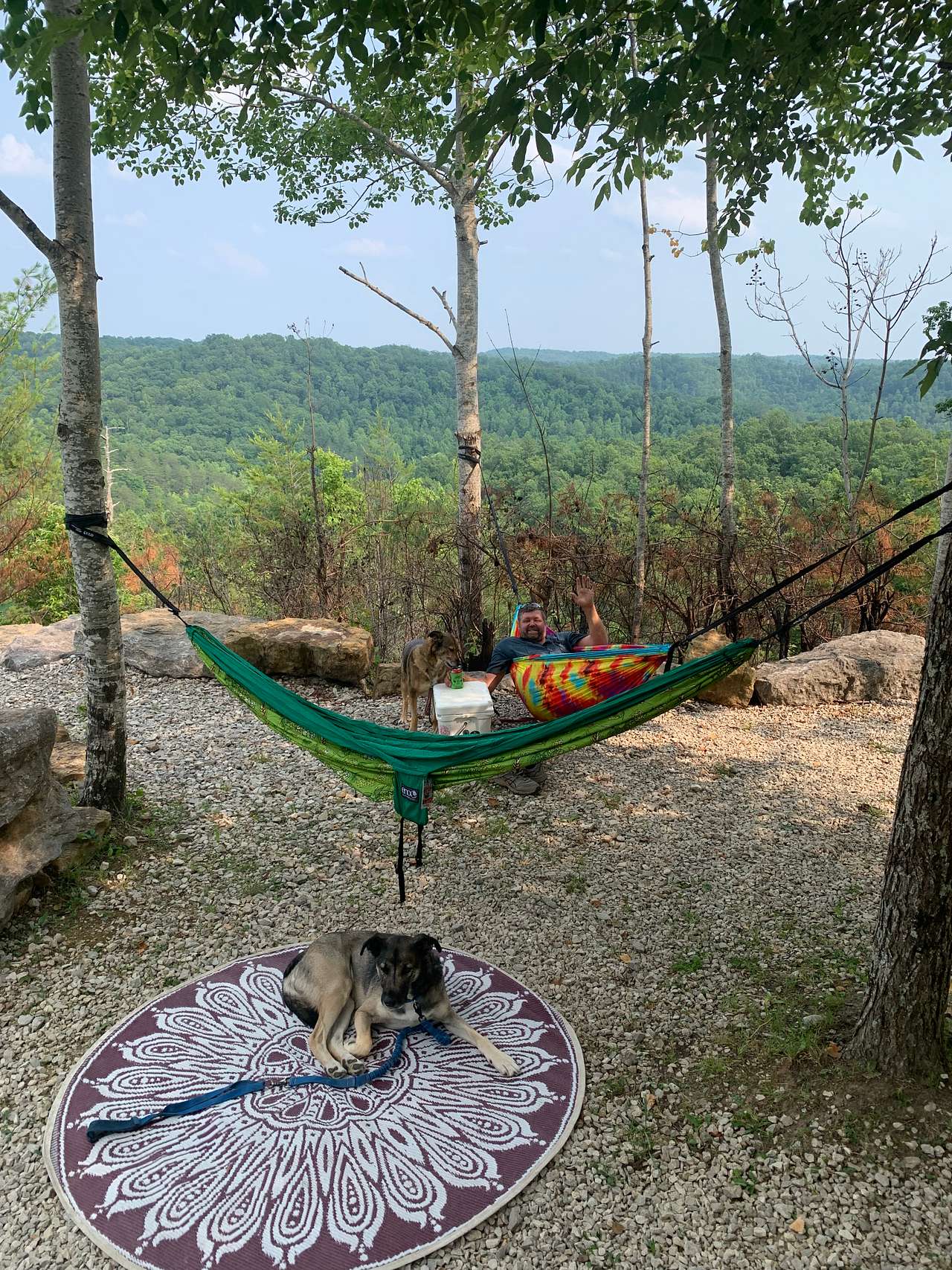View pets photos of Bar on the Mountain