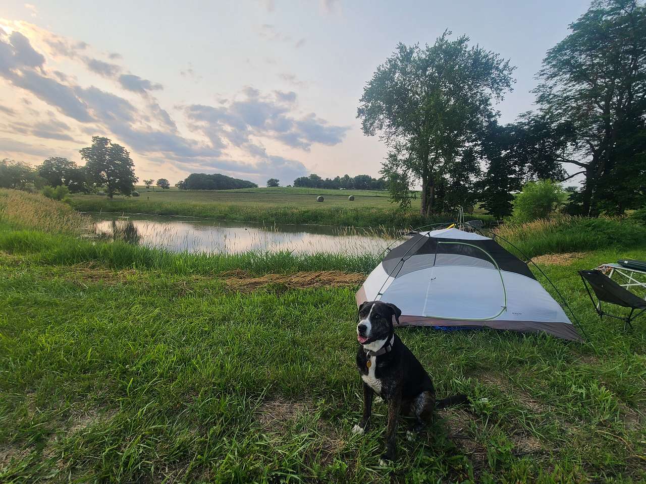 View pets photos of Fun Family Farm - Overview