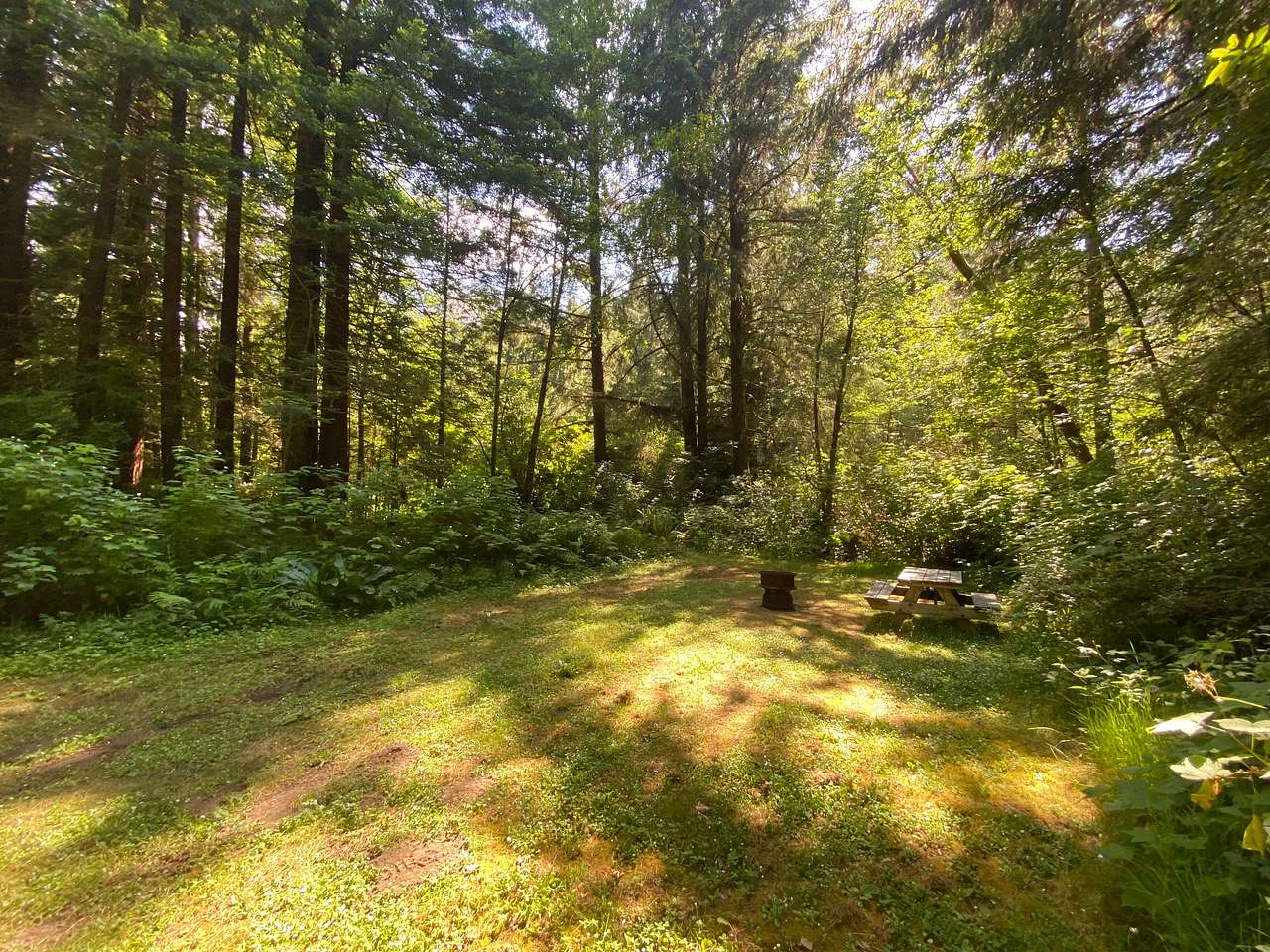 Picture of the site