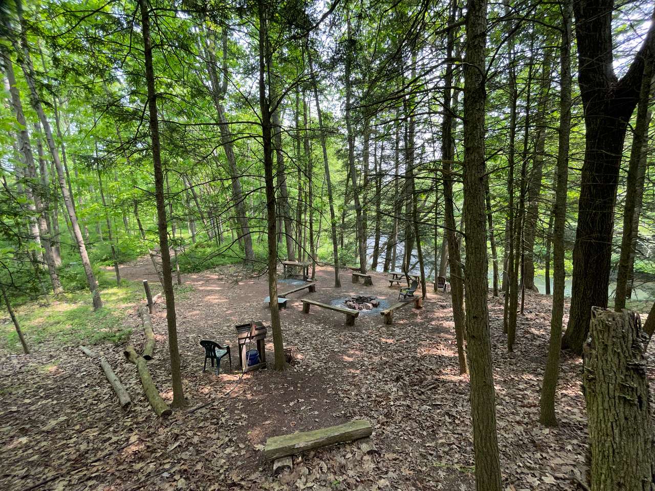 Picture of the site