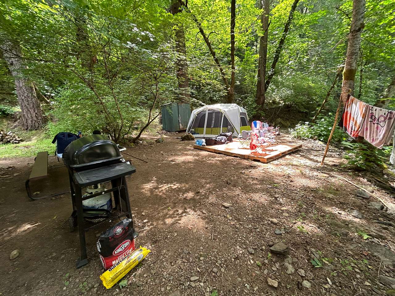 Picture of the site