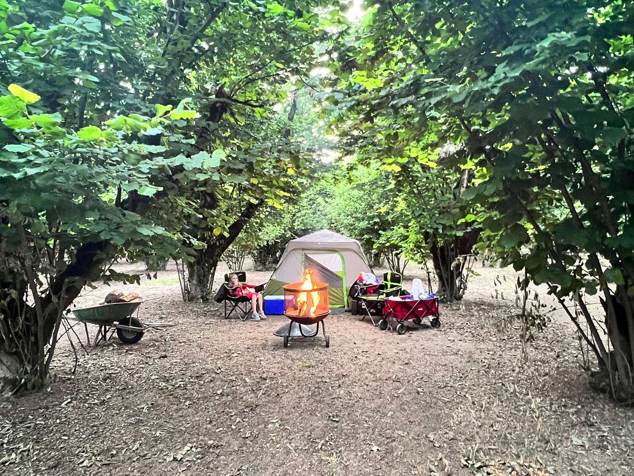 Picture of the site