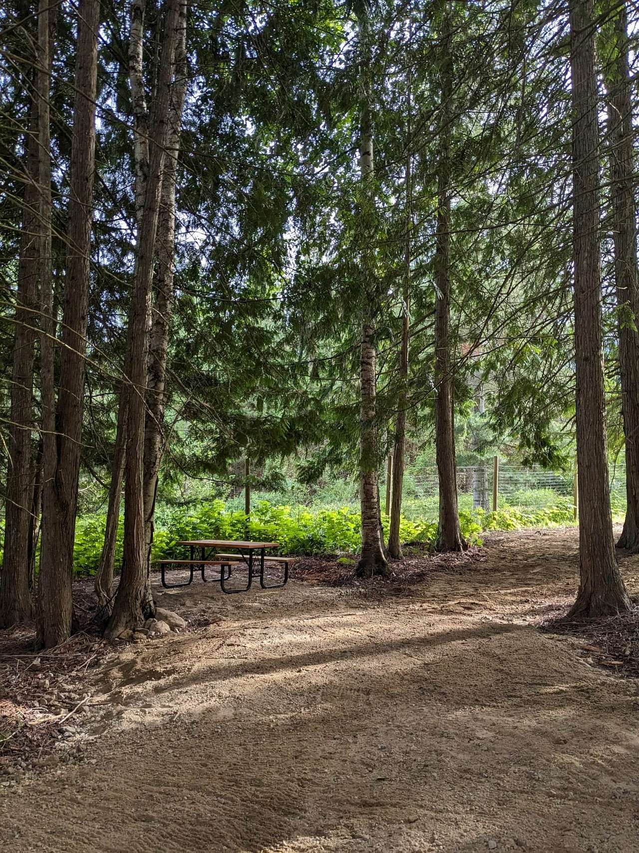 Picture of the site
