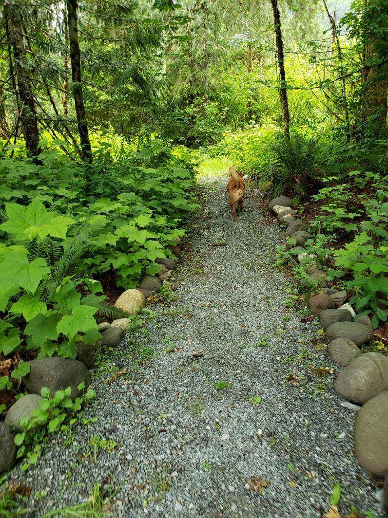 View pets photos of Camp Hideaway