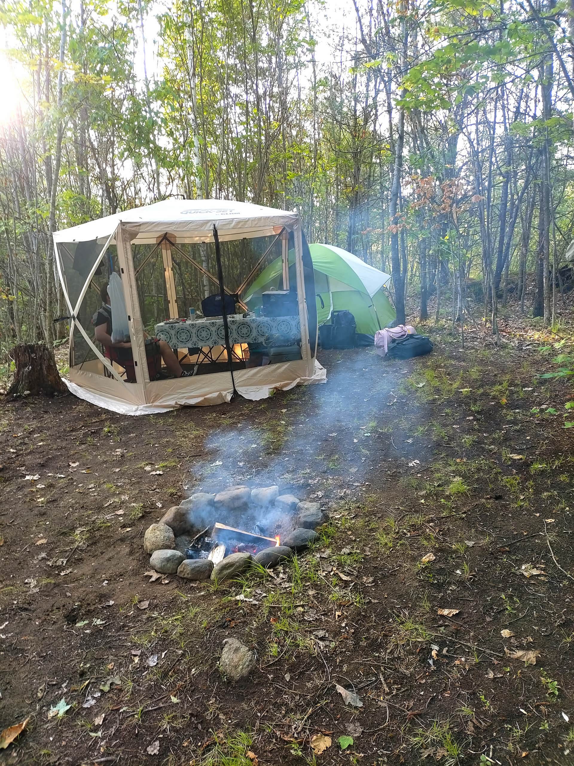 Picture of the site