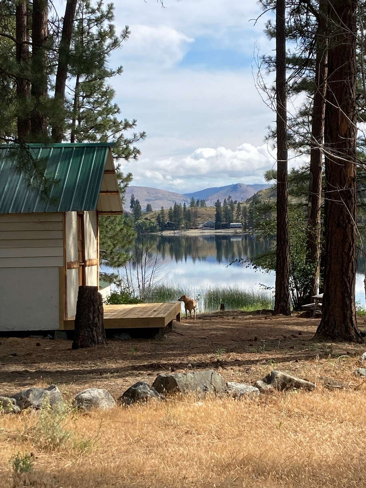 Picture of the site