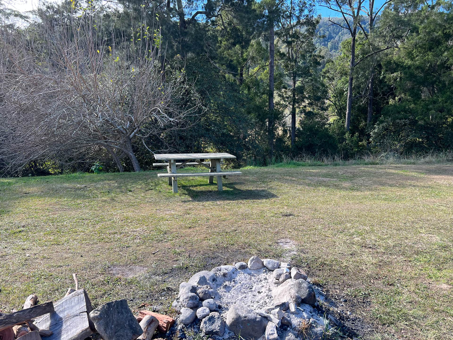 Picture of the site