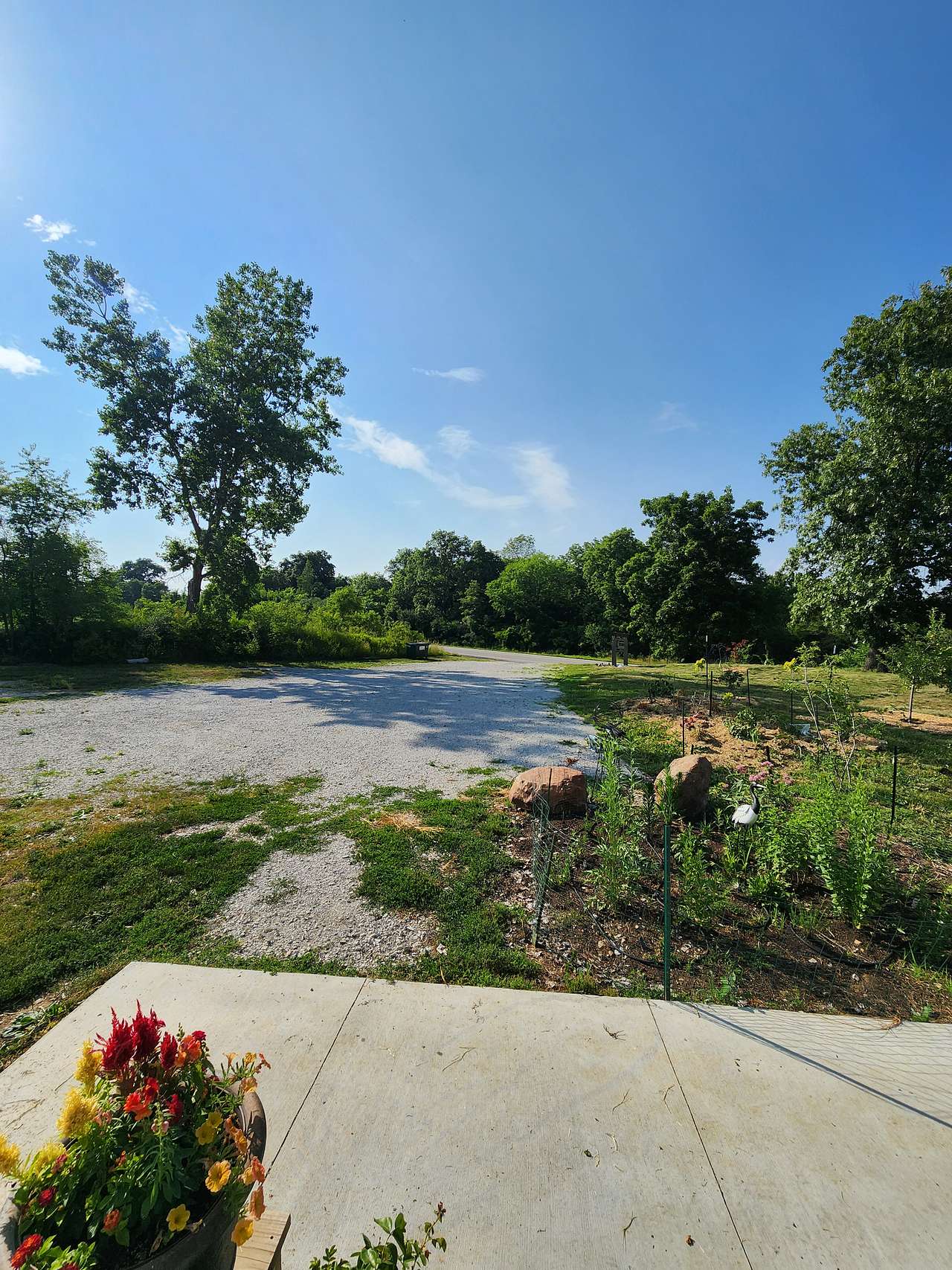 Picture of the site