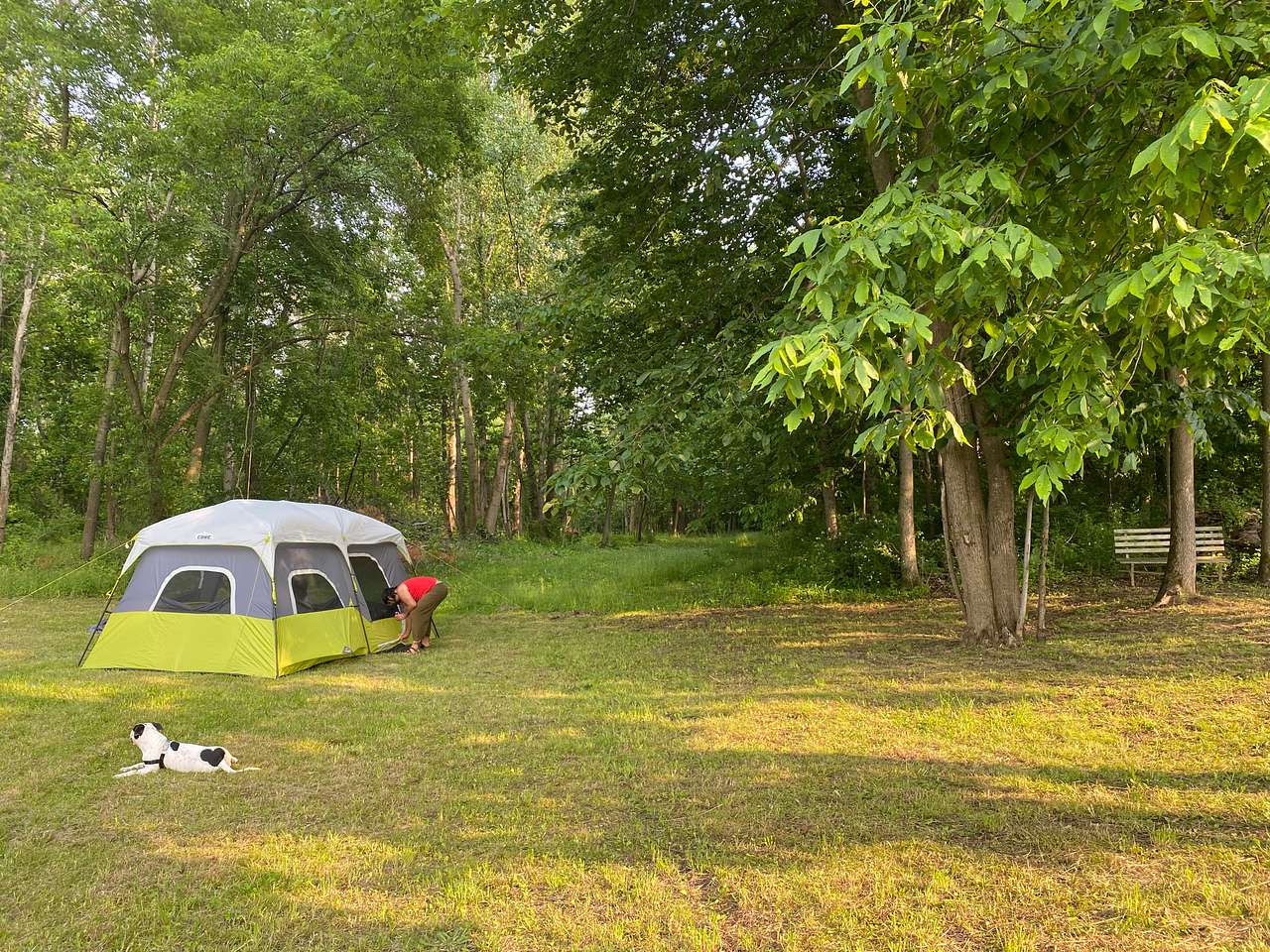 Picture of the site