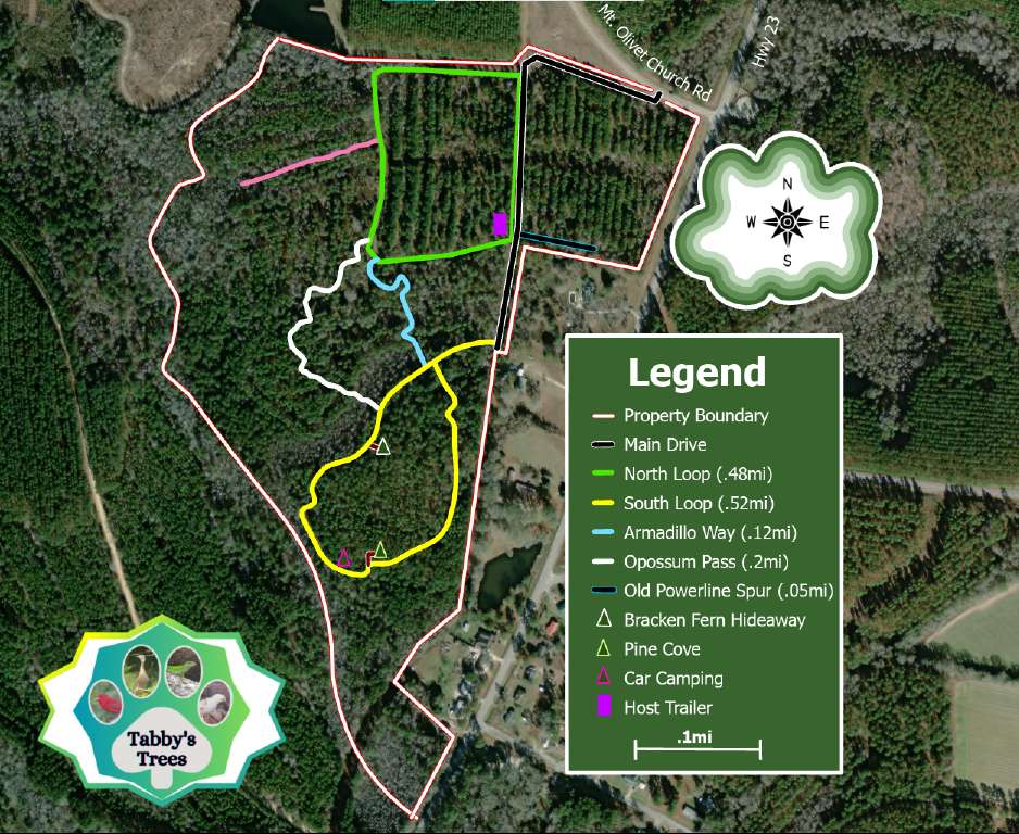 Picture of the site