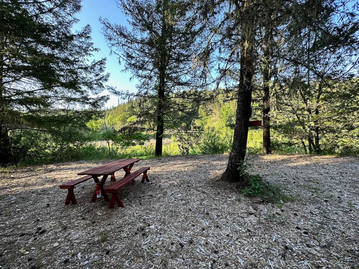 Picture of the site