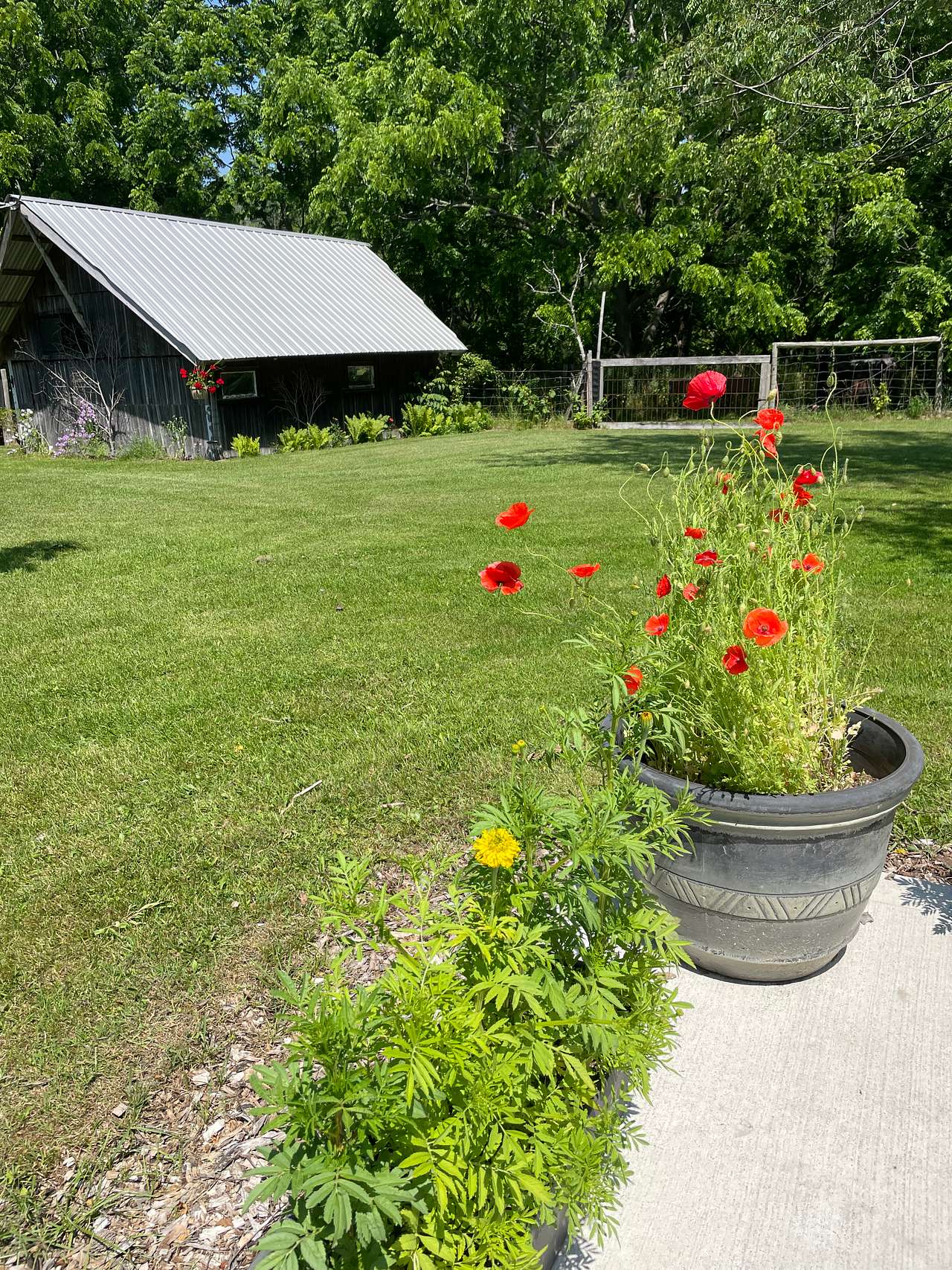 Picture of the site